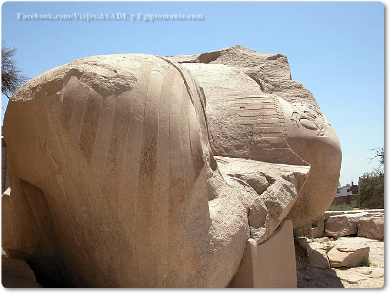 📷 Cabeza de coloso del Ramesseum