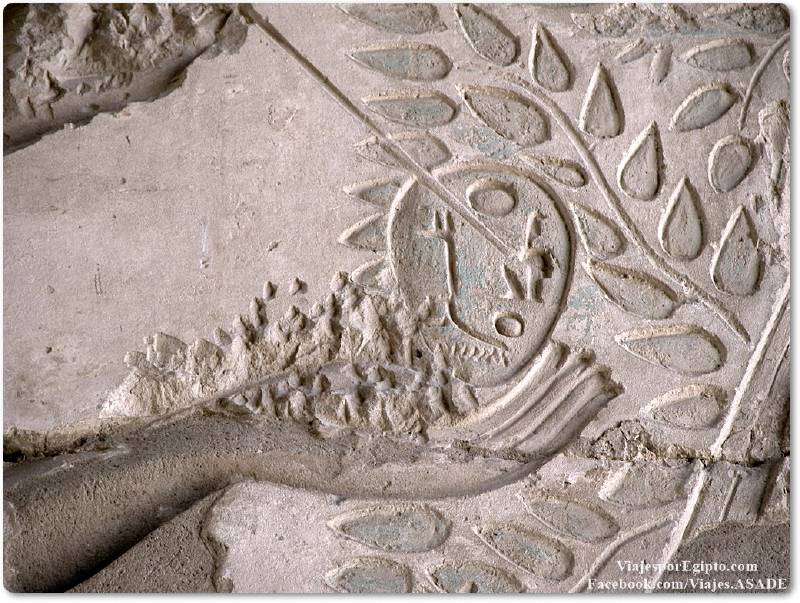 📷 Nombre del rey en el Árbol de la Vida del Ramesseum